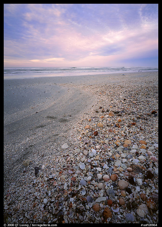 Beach covered with sea shells, sunrise. Sanibel Island, Florida, USA