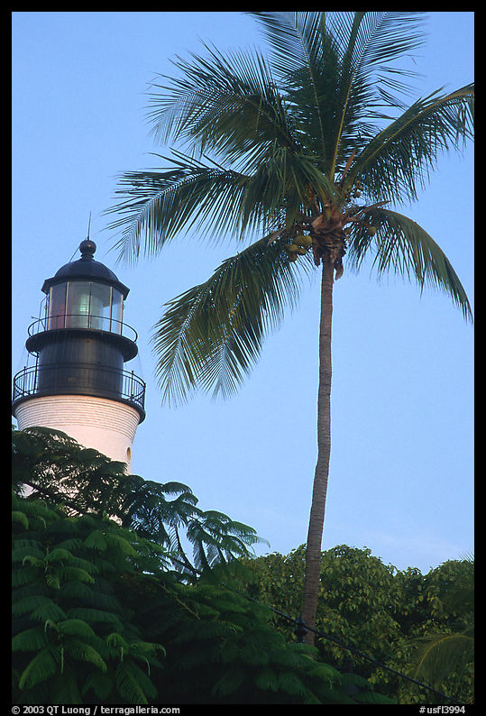 Lighthouse and palm tree. Key West, Florida, USA