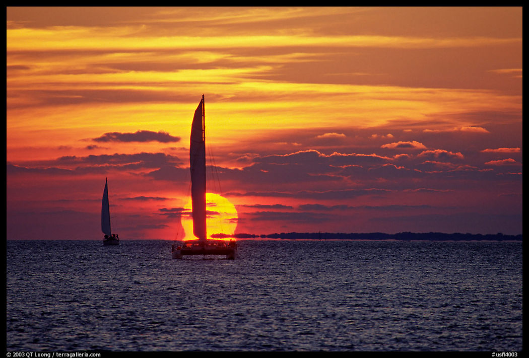 Sailboats viewed against the sun disk at sunset. Key West, Florida, USA