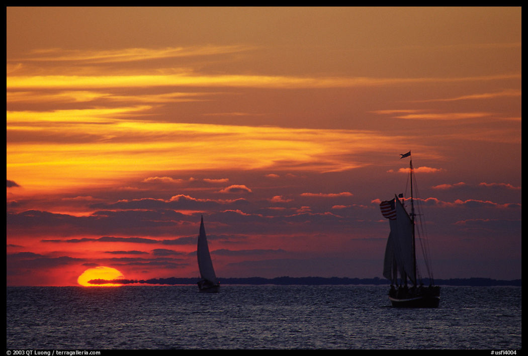 Sailboats viewed against the sun disk at sunset. Key West, Florida, USA