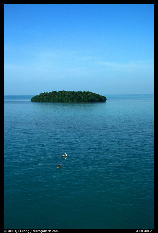 Small island covered with mangroves. The Keys, Florida, USA