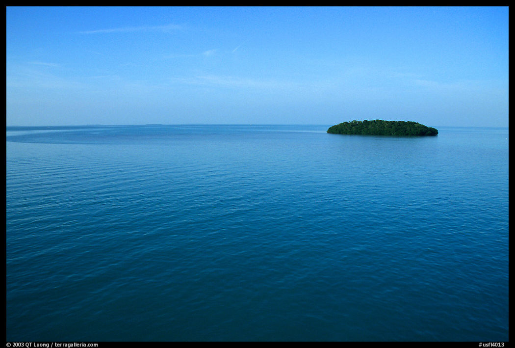 Small island covered with mangroves. The Keys, Florida, USA