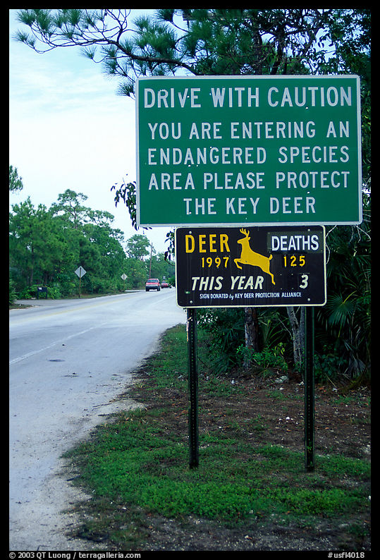 Sign warning about the endangered Key deer. The Keys, Florida, USA