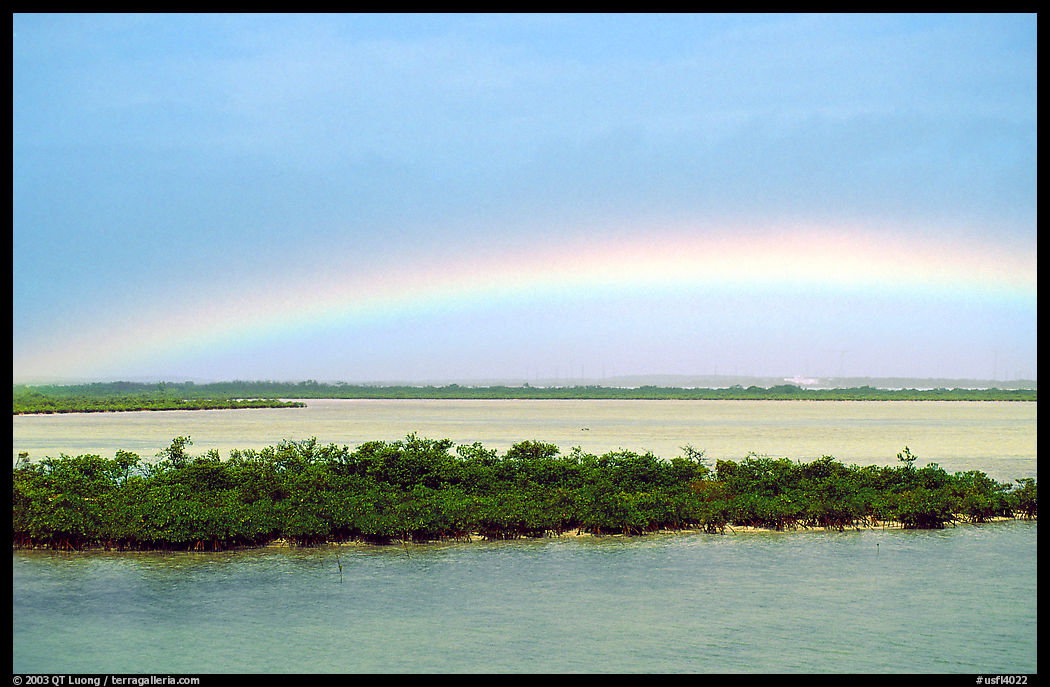 Rainbow above the mangroves. The Keys, Florida, USA