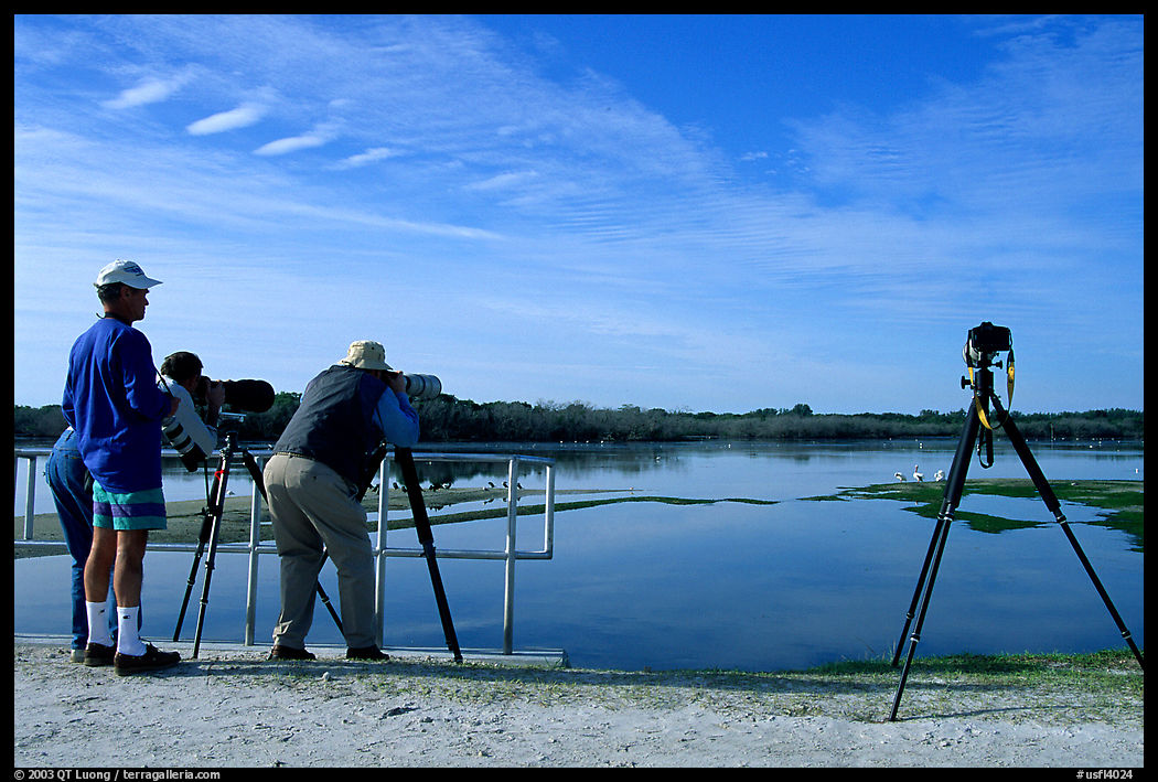 Photographers with big lenses. Ding Darling NWR, Sanibel Island, Florida, USA