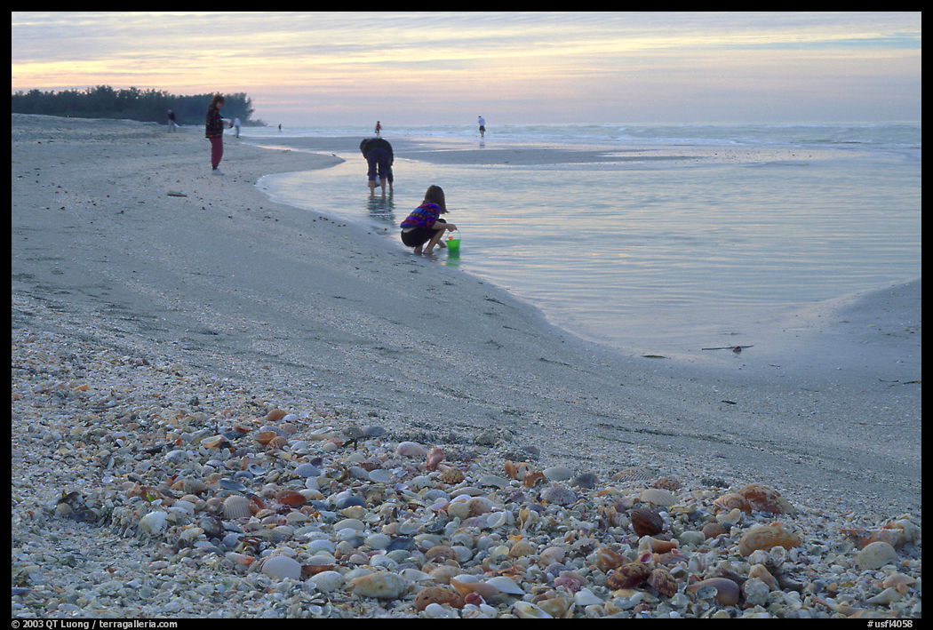Shells washed-up on shore and beachcombers. Sanibel Island, Florida, USA