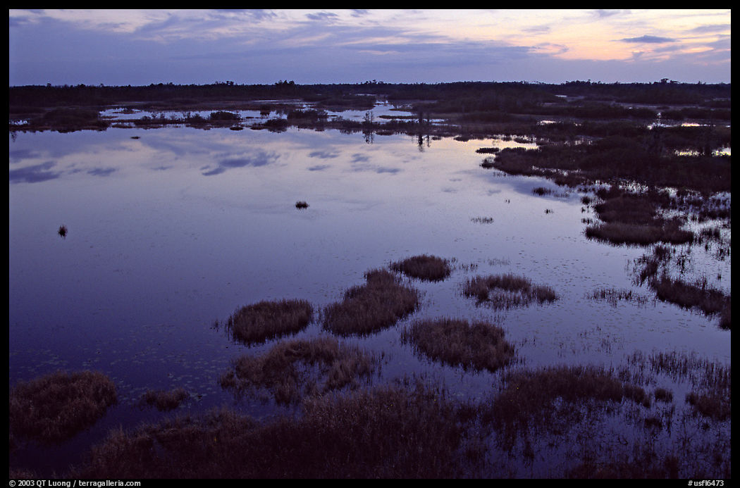 Okefenokee Swamp at sunset. Georgia, USA