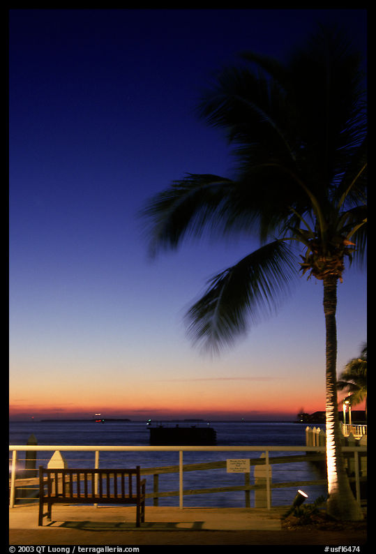 Bench and palm tree and sunset. Key West, Florida, USA
