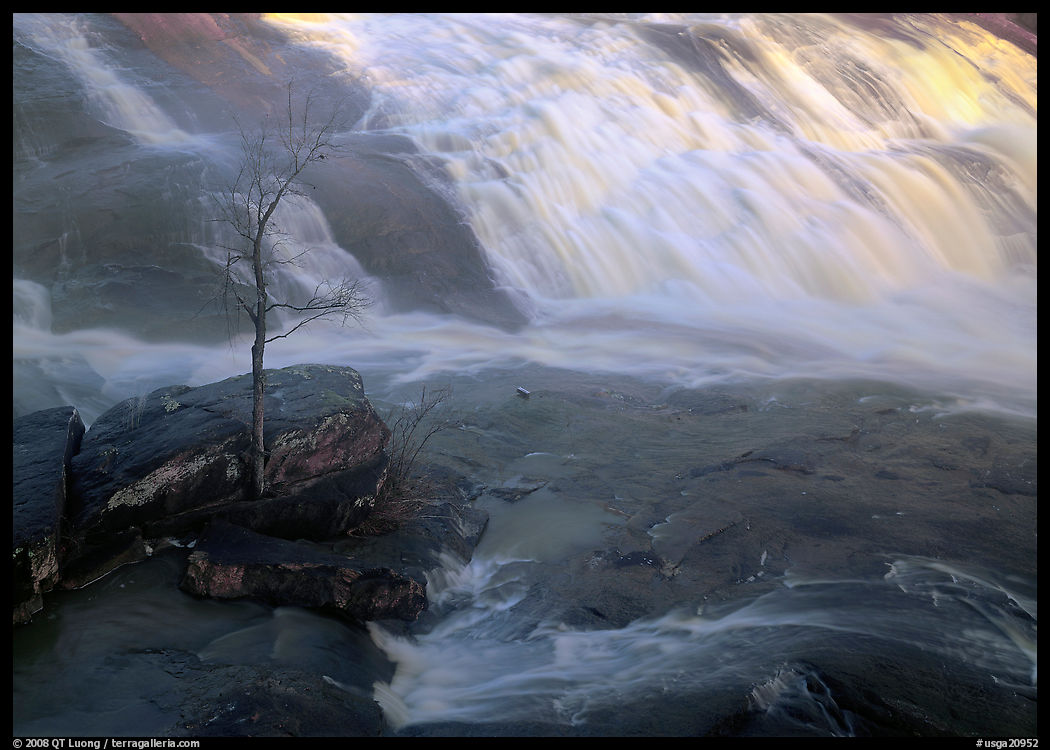 Tree and waterfall at sunrise in High Falls State Park. Georgia, USA