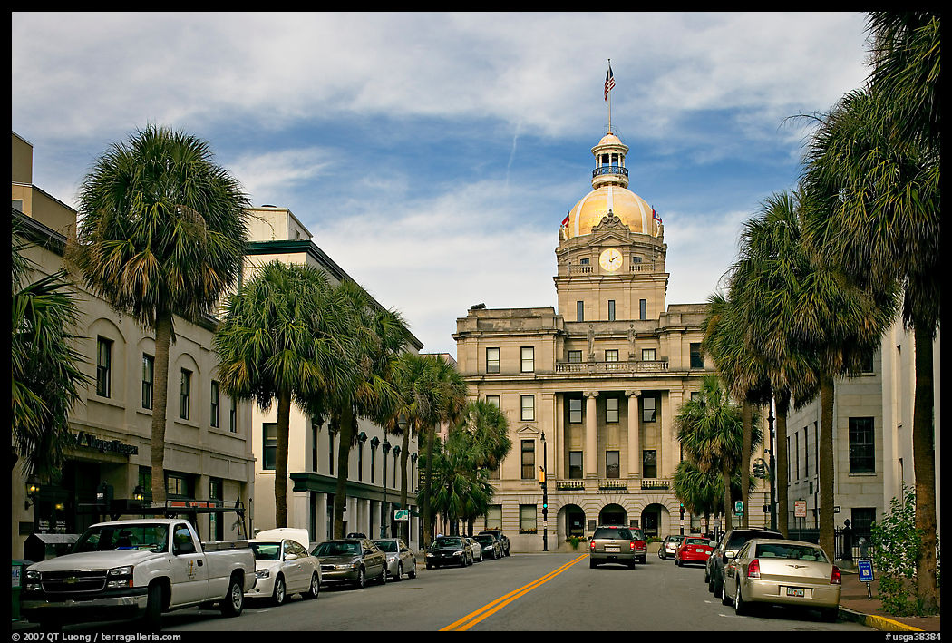 Street and Savannah City Hall. Savannah, Georgia, USA