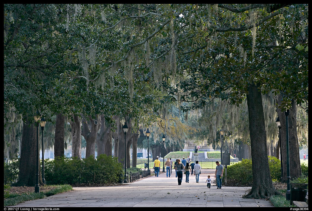Alley in Forsyth Park. Savannah, Georgia, USA