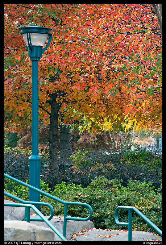 Lamp and autumn colors, Centenial Olympic Park. Atlanta, Georgia, USA