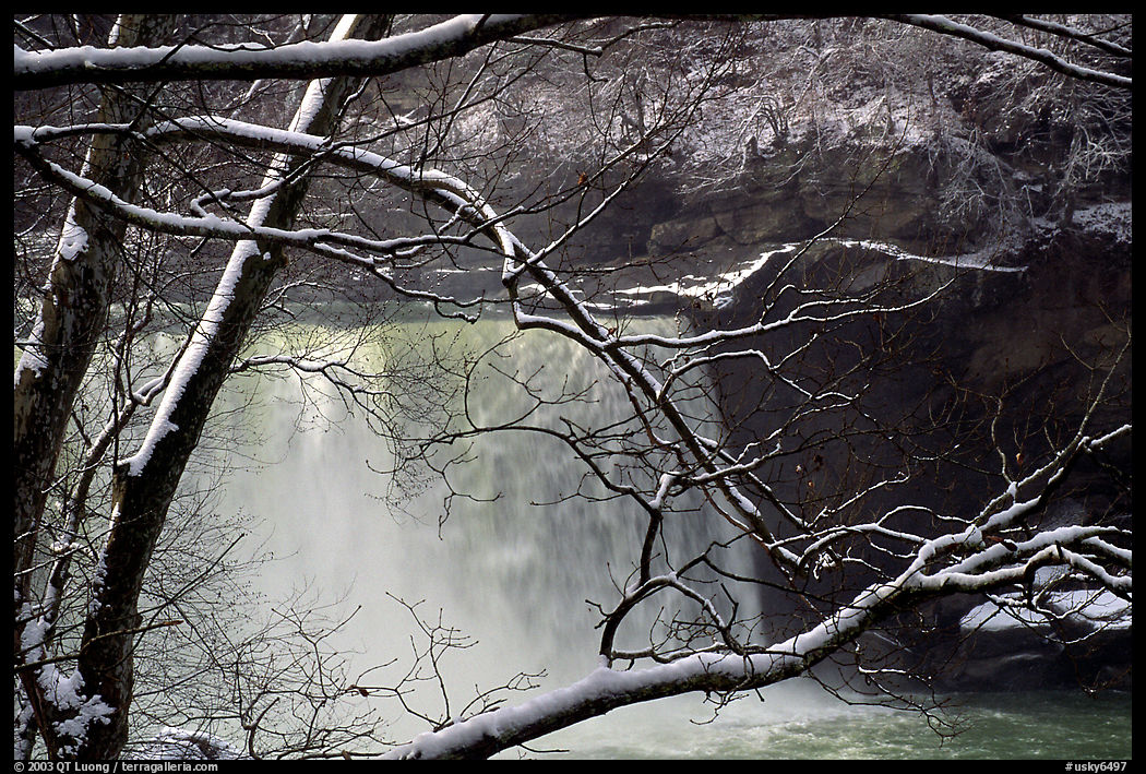 Snow-covered branch and Cumberland falls. Kentucky, USA