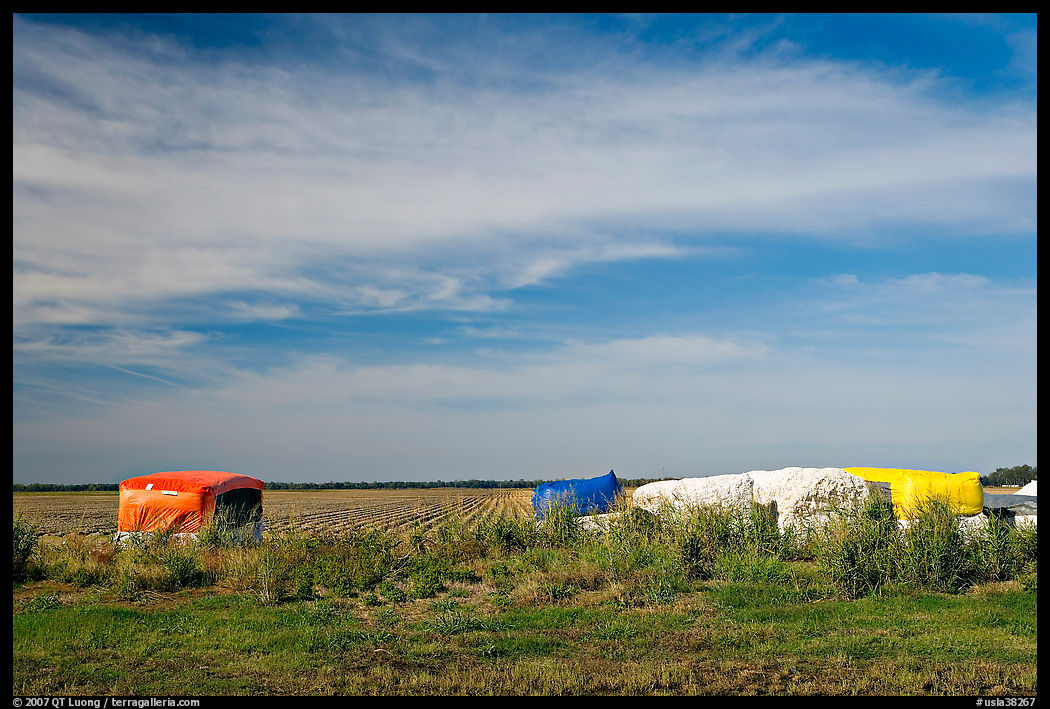 Harvested cotton modules. Louisiana, USA