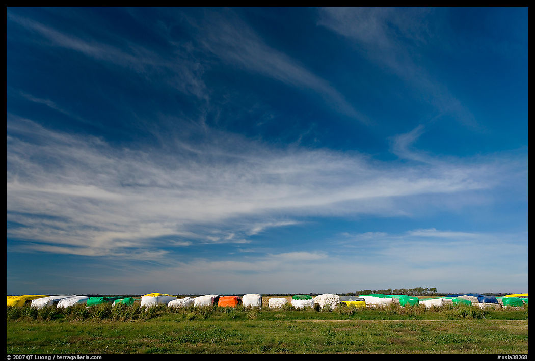 Cotton modules covered by tarps. Louisiana, USA