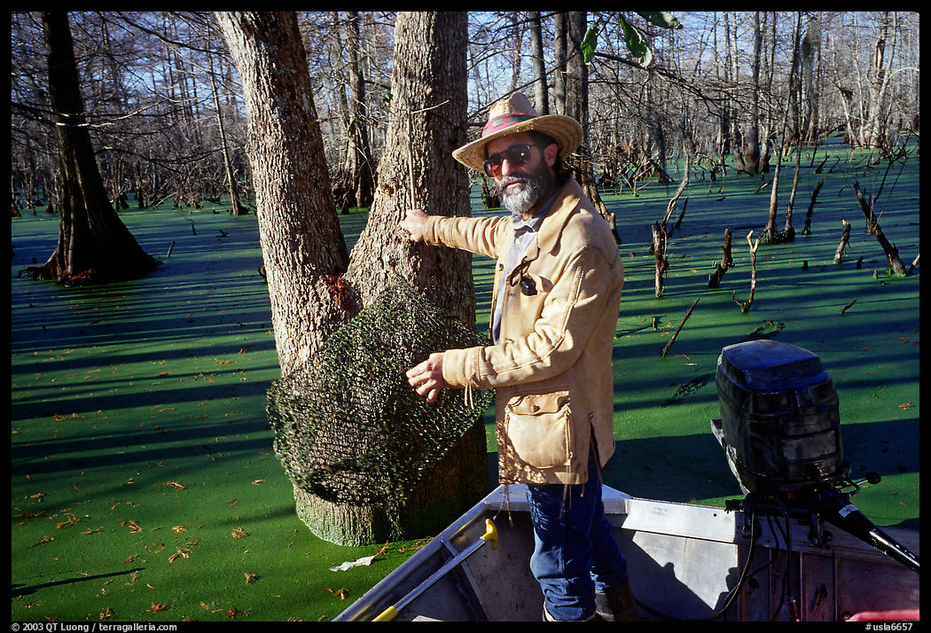 Bayou guide of French descent retriving net,  Lake Martin. Louisiana, USA