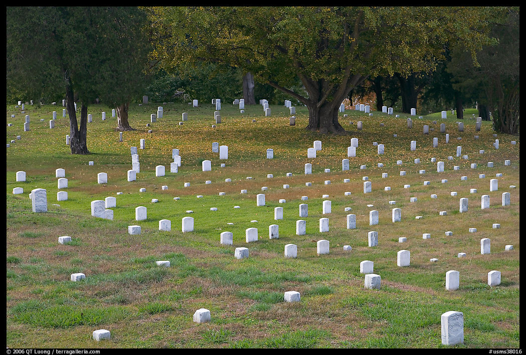 Headstones and trees, Vicksburg National Military Park. Vicksburg, Mississippi, USA