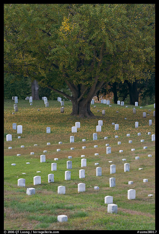 Cemetery, Vicksburg National Military Park. Vicksburg, Mississippi, USA