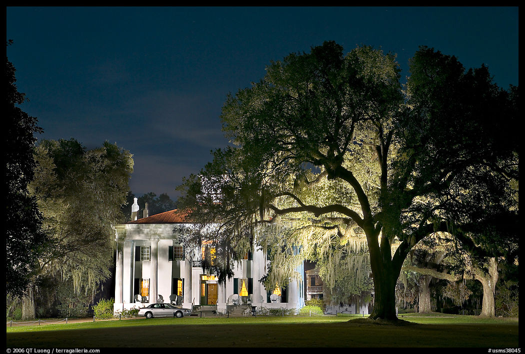 Antebellum mansion set in garden with  backlit oak tree at night. Natchez, Mississippi, USA