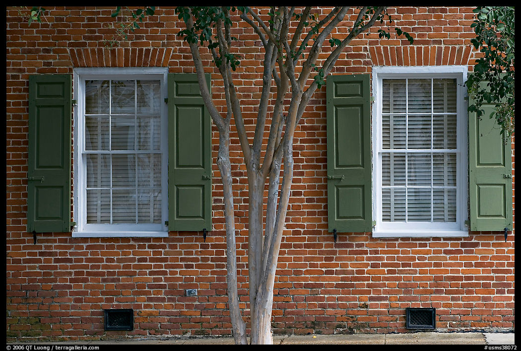 Tree and red brick facade of Texada. Natchez, Mississippi, USA