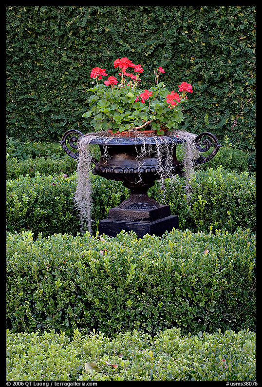 Vasque with flowers and spanish moss in garden. Natchez, Mississippi, USA