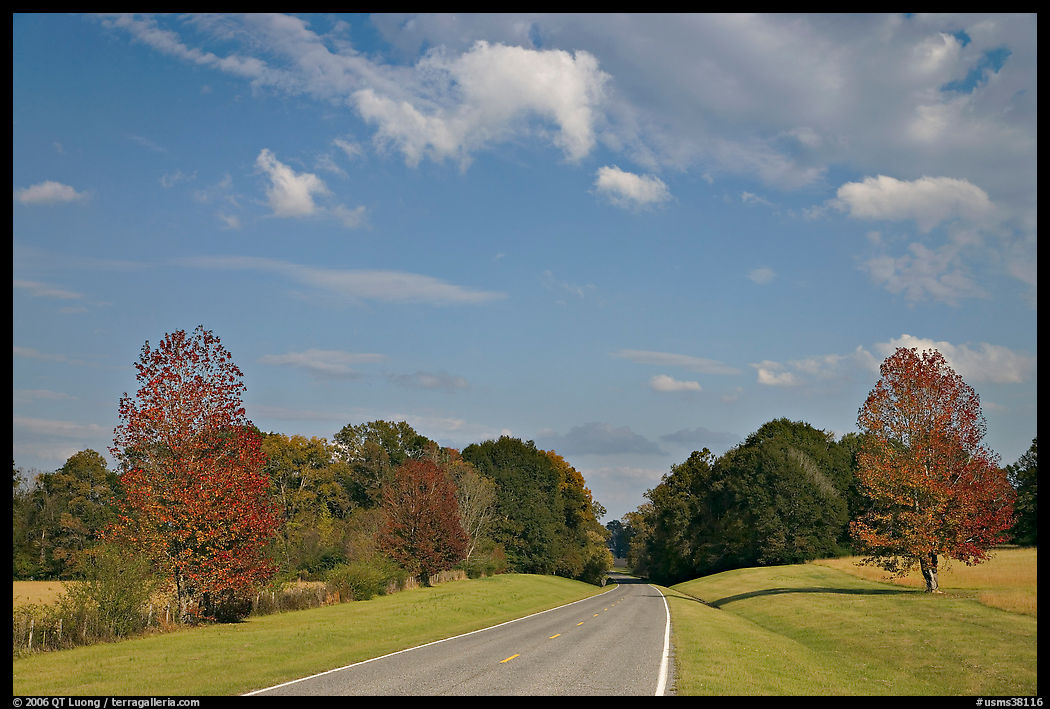 Road in meadow. Natchez Trace Parkway, Mississippi, USA