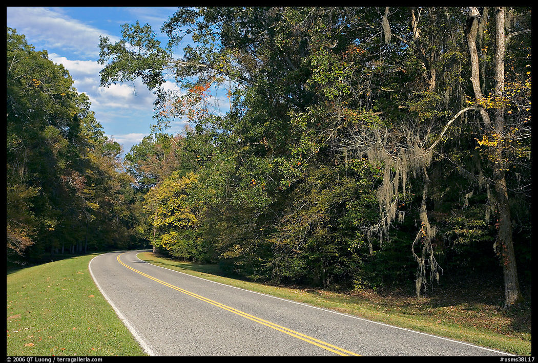 Road curve bordered by tree with Spanish Moss. Natchez Trace Parkway, Mississippi, USA