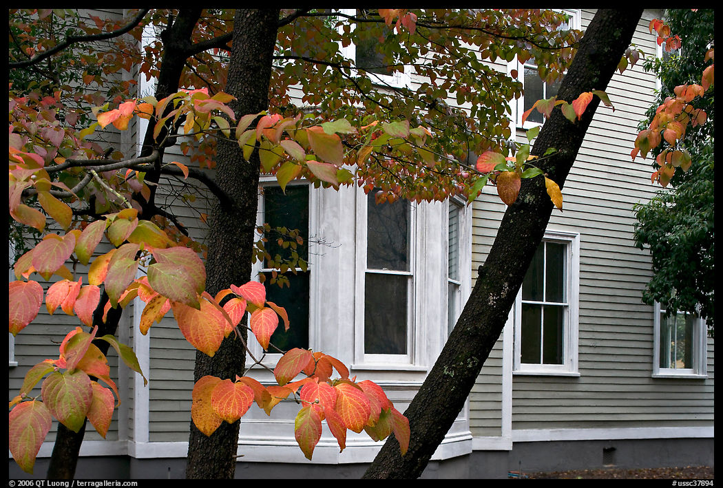 Leaves and house detail. Columbia, South Carolina, USA