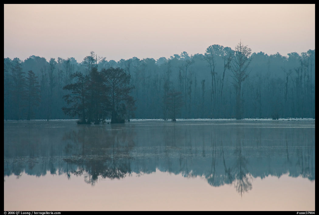 Lake with cypress and dawn. South Carolina, USA