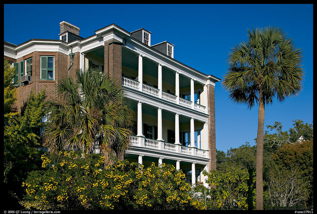 Antebellum house and palm tree. Charleston, South Carolina, USA