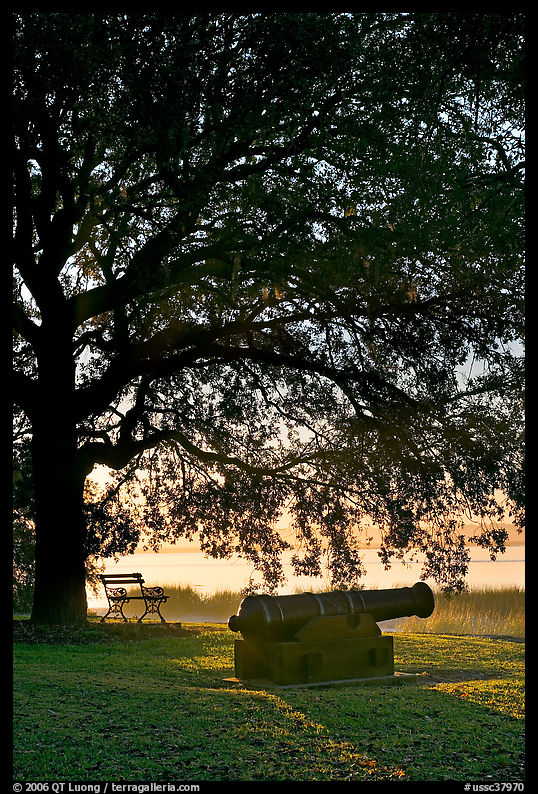 Cannon, bench, and oak tree, sunrise. Beaufort, South Carolina, USA