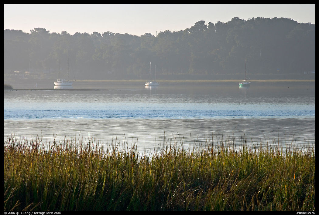 Beaufort Bay, with grasses and yachts. Beaufort, South Carolina, USA