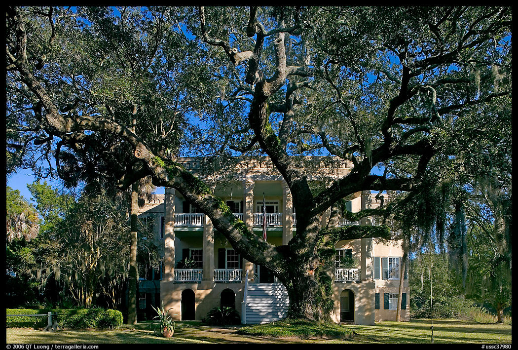 Live oak tree and brick house known as the Castle. Beaufort, South Carolina, USA