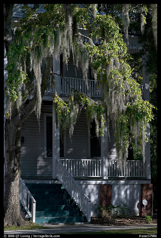 Spanish moss and balcony house. Beaufort, South Carolina, USA