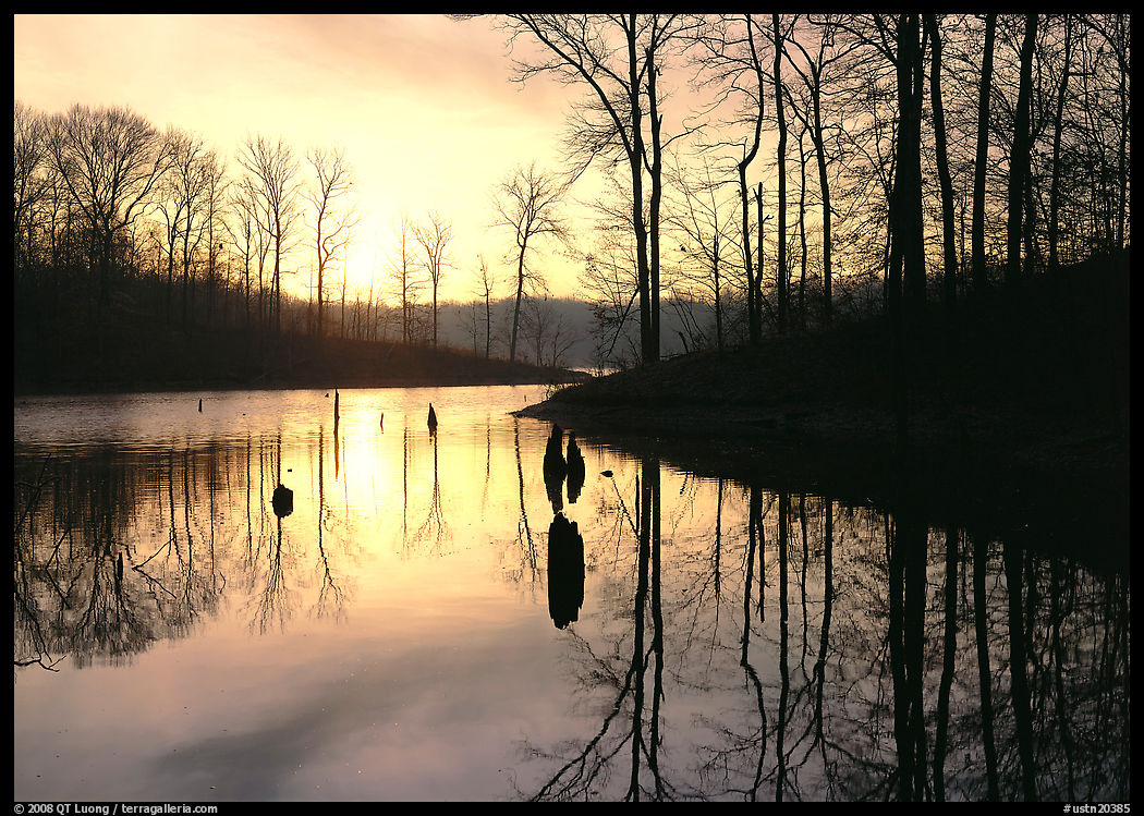 Sunrise over a pond. Tennessee, USA
