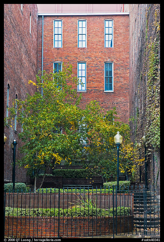 Yard and brick buildings. Nashville, Tennessee, USA