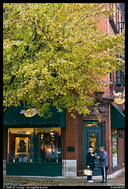 Tree in fall foliage and brick building. Nashville, Tennessee, USA