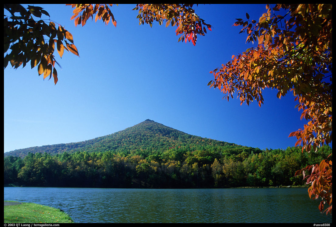 Otter peak framed by fall colors, Blue Ridge Parkway. Virginia, USA