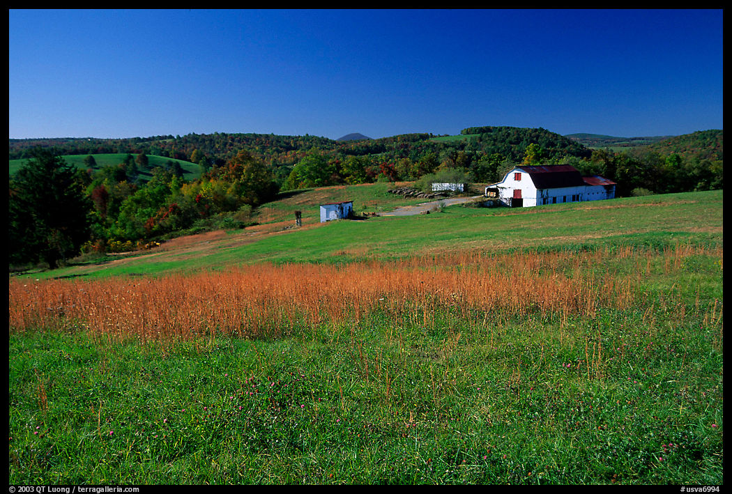 Meadow and barn. Virginia, USA