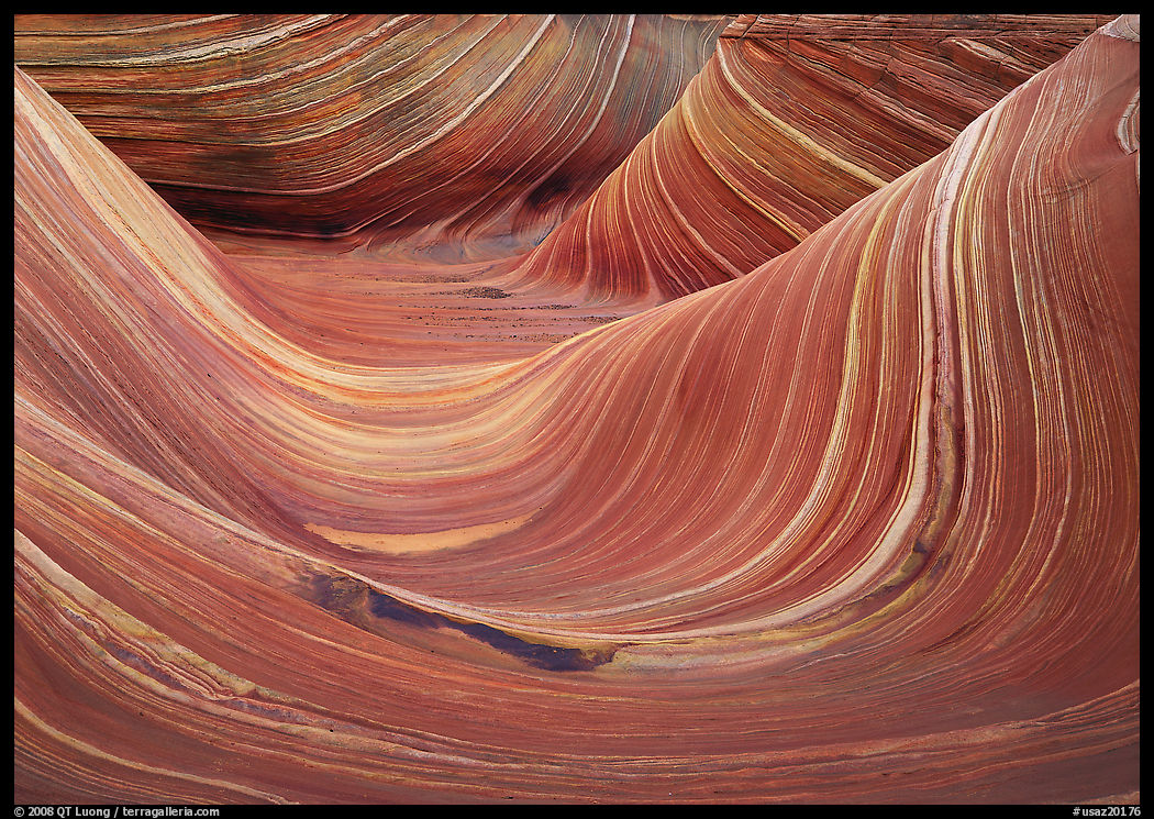 The Wave, main formation. Coyote Buttes, Vermilion cliffs National Monument, Arizona, USA