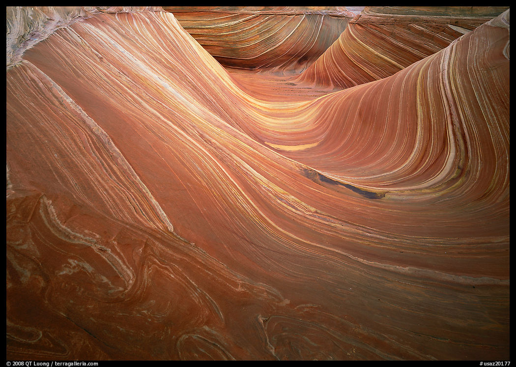 Ondulating stripes, the Wave. Coyote Buttes, Vermilion cliffs National Monument, Arizona, USA