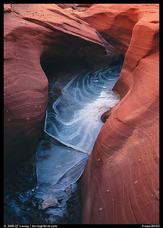 Frozen water and red sandstone, Water Holes Canyon. Arizona, USA