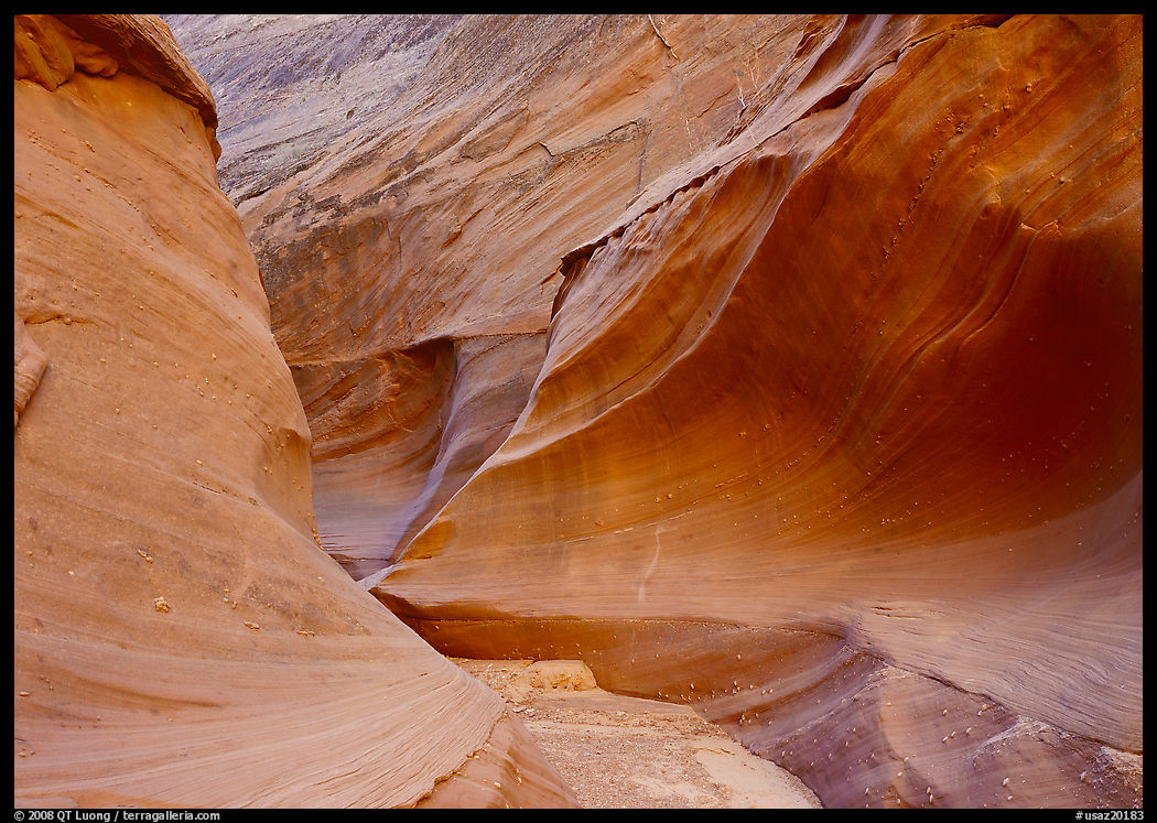 Water Holes Canyon. Arizona, USA