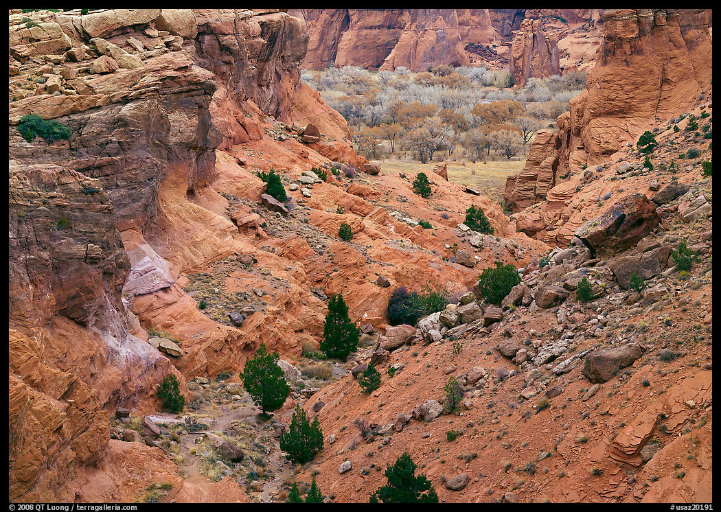 Red rocks, Canyon de Cheilly, Junction Overlook. Canyon de Chelly  National Monument, Arizona, USA