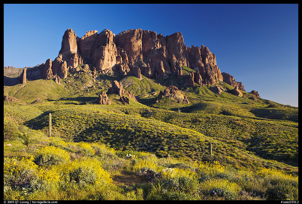 Superstition Mountains in spring, Lost Dutchman State Park, late afternoon. Arizona, USA