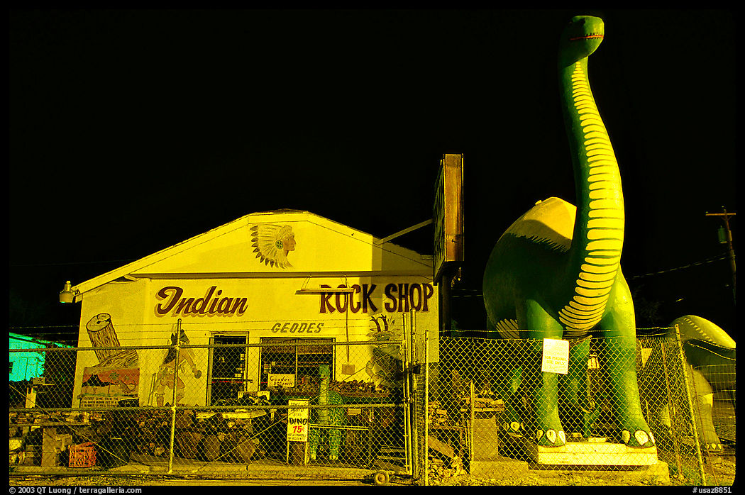 Dinosor and rock shop on route 66, Holbrook. Arizona, USA