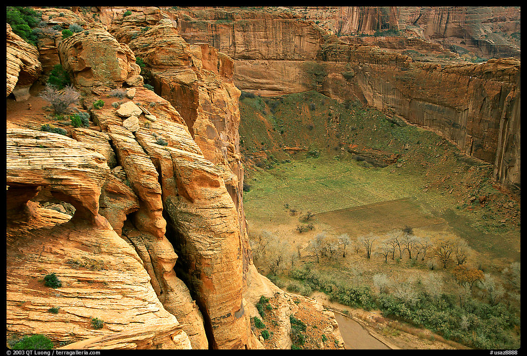 Canyon de Cheilly seen from Spider Rock Overlook. Canyon de Chelly  National Monument, Arizona, USA
