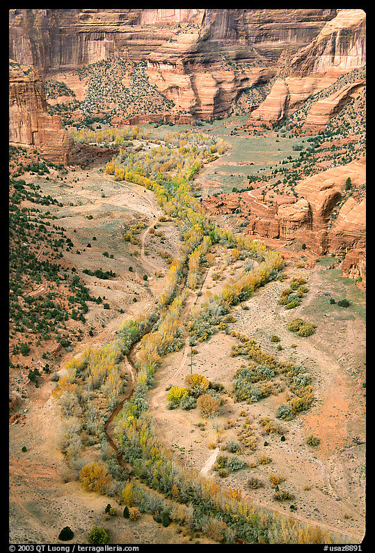 Canyon de Cheilly seen from Spider Rock Overlook. Canyon de Chelly  National Monument, Arizona, USA