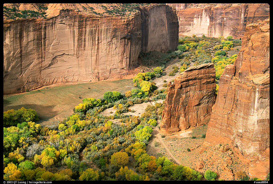 Canyon de Cheilly seen from Spider Rock Overlook. Canyon de Chelly  National Monument, Arizona, USA
