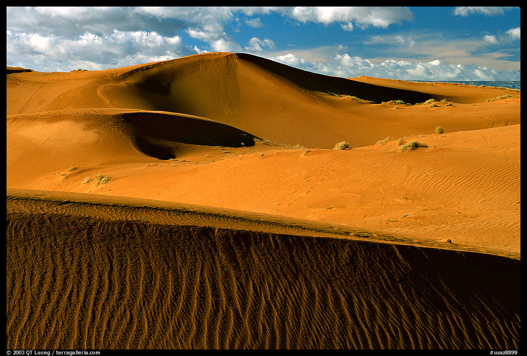 Pink Sand dunes, early morning. Canyon de Chelly  National Monument, Arizona, USA